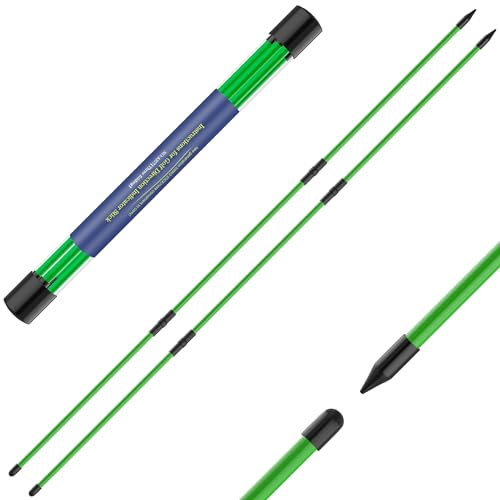 Seticek Golf Alignment Sticks 2 Pack,Upgraded 48' Collapsible Alignment Stick Golf Training Aid for Aiming, Putting, Full Swing Trainer, golf training sticks with Clear Tube Case（Green）