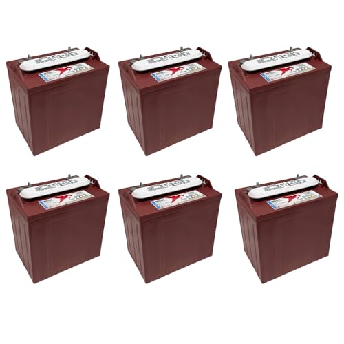 Trojan T875 8 Volt, 170 AH Deep Cycle Battery - 6 Pack